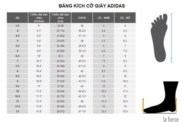 bang-size-gay-adidas