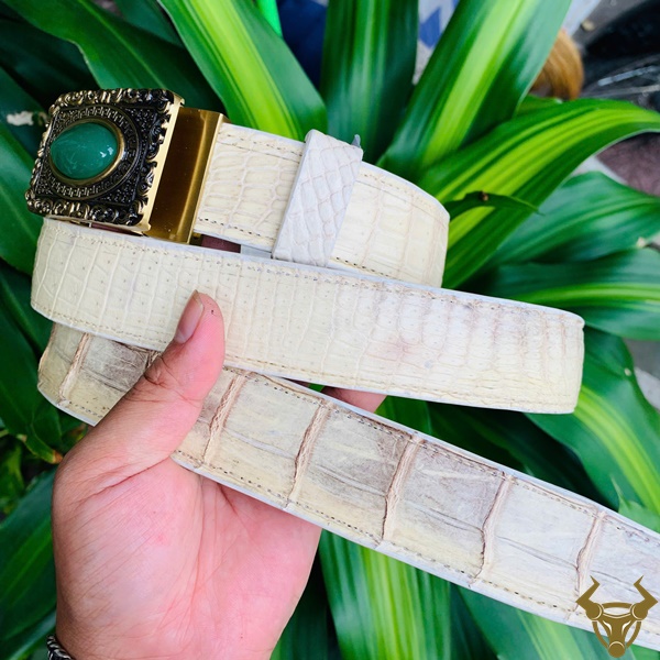 TSK95 – Vẻ Ngoài Tinh Tế, Giá Trị Vượt Thời Gian TSK95 – Vẻ Ngoài Tinh Tế, Giá Trị Vượt Thời Gian