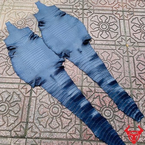 Da cá sấu nguyên con thuộc mềm màu xanh navy