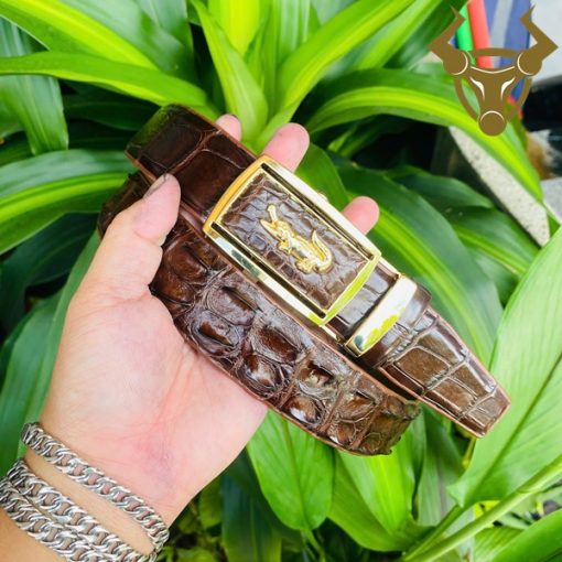 Thắt lưng da cá sấu bản 3.5cm màu nâu đậm khóa vàng.