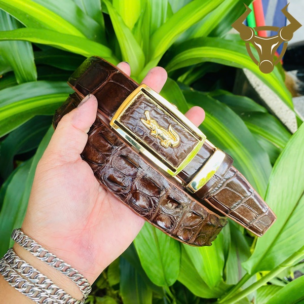 Thắt lưng da cá sấu bản 3.5cm màu nâu đậm khóa vàng.
