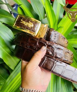 Thắt lưng da cá sấu nâu dây liền mặt khóa vàng sang trọng.