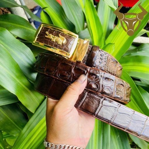 Thắt lưng da cá sấu nâu dây liền mặt khóa vàng sang trọng.