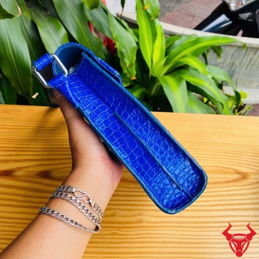 Túi đeo chéo sang trọng với tone màu xanh ấn tượng và chất da quý hiếm.
