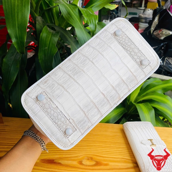 Thời thượng và sang trọng với túi da cá sấu TCA8 Hình ảnh túi TCA8, da cá sấu bạch tạng cao cấp, khóa kim loại lộng lẫy.