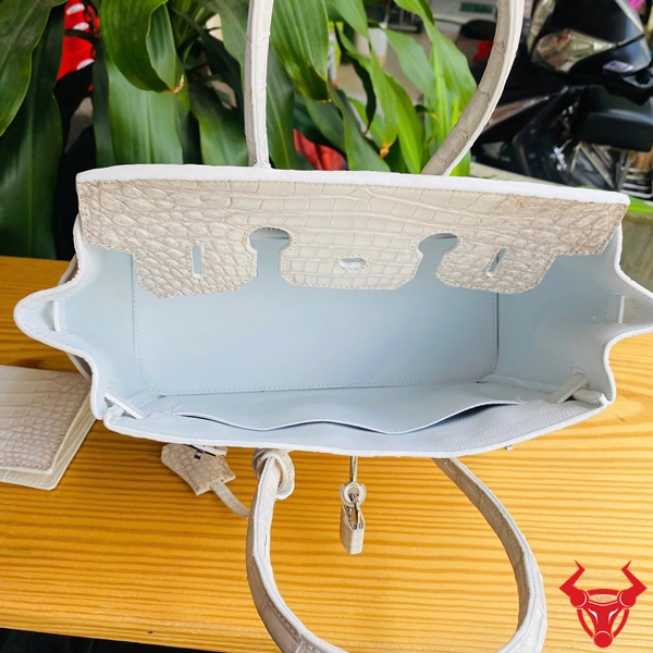 TCA8 - phụ kiện thời trang bạch tạng đẳng cấp tuyệt đẹp Hình ảnh túi TCA8, da cá sấu bạch tạng đẳng cấp, khóa kim loại nổi bật.