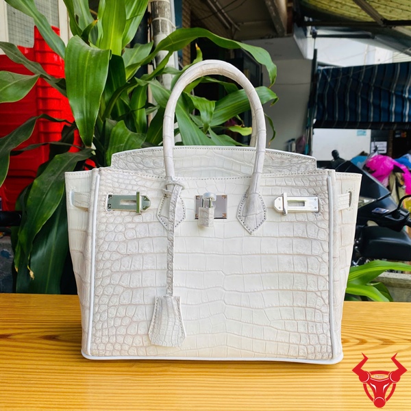 Thời trang sang trọng với túi da cá sấu bạch tạng TCA8 Hình ảnh túi xách TCA8, da cá sấu bạch tạng sang trọng, khóa kim loại đẳng cấp.