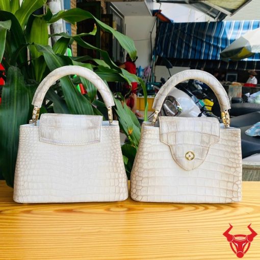 Túi bạch tạng – biểu tượng của sự khác biệt và khí chất.