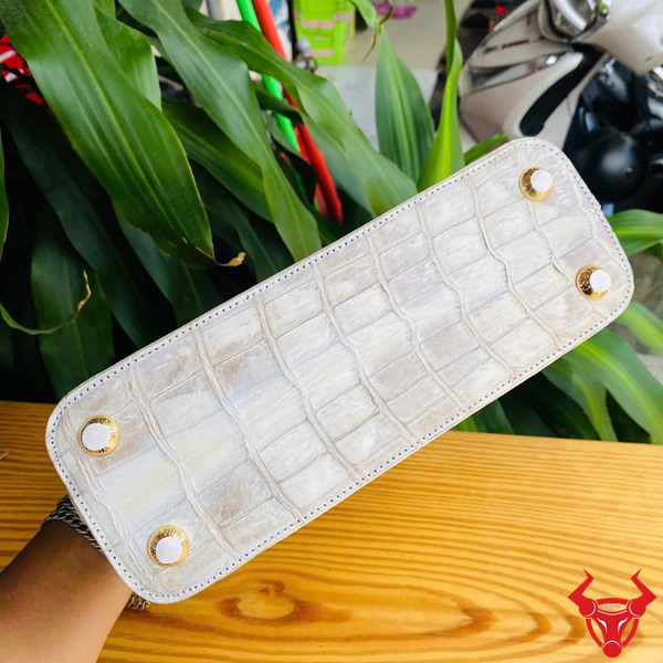 Túi Xách Bạch Tạng Độc Bản – Đỉnh Cao Của Phong Cách Và Chất Liệu Túi xách nữ da cá sấu bạch tạng – khí chất không cần nói nhiều.