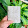 Một chiếc ví da cá sấu 1M màu bạch tạng sang trọng, thiết kế thời trang, thể hiện đẳng cấp và phong cách cao cấp.