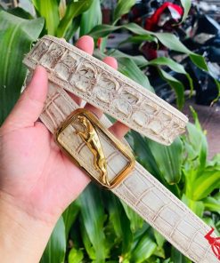 Thắt lưng cá sấu bạch tạng, sang trọng, phong cách.
