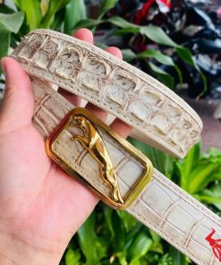 Thắt lưng da cá sấu bạch tạng, đẳng cấp, quý phái.