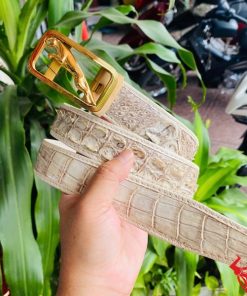 Thắt lưng cá sấu bạch tạng, tinh tế, bền đẹp.
