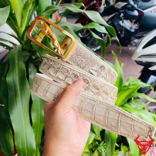 Thắt lưng cá sấu bạch tạng, tinh tế, bền đẹp.