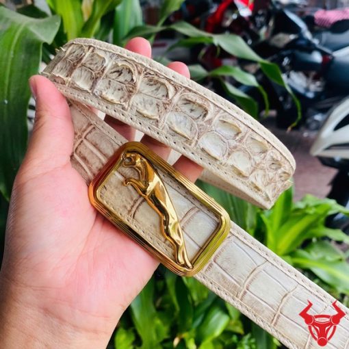 Thắt lưng da cá sấu bạch tạng, đẳng cấp, quý phái.