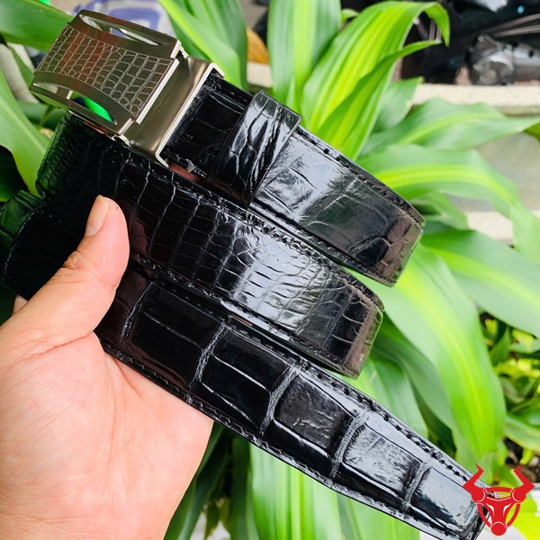 Sang trọng với Thắt Lưng Da Cá Sấu TSK32 Hình ảnh thắt lưng TSK32 màu đen, da cá sấu cao cấp, mặt khóa lăn inox, cầm trên tay với cây xanh phía sau.