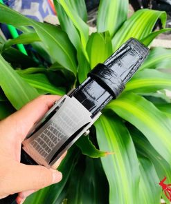 Hình ảnh thắt lưng TSK32 màu đen, da cá sấu sang trọng, mặt khóa lăn inox, cầm trên tay với nền cây xanh và mô tô.