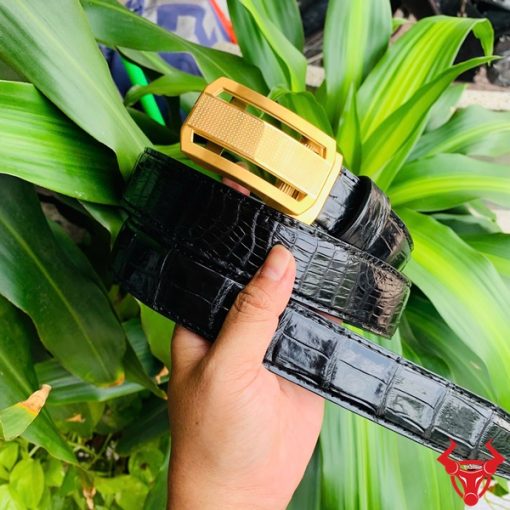 Hình ảnh thắt lưng TSK33 màu đen, da cá sấu sang trọng, khóa tỳ thép vàng, cầm trên tay với nền cây xanh và mô tô.