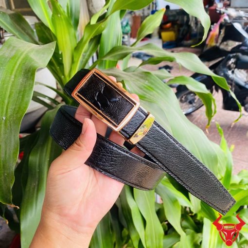 Thắt lưng nam cao cấp TLD1 đà điểu đen mặt vàng