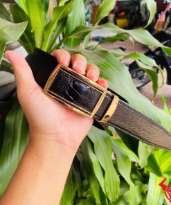 Thắt lưng nam TLD1 da chân đà điểu màu đen, mặt khóa vàng