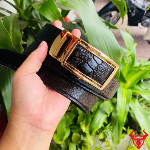 Thắt lưng TLD1 da đà điểu phối khóa vàng thời thượng