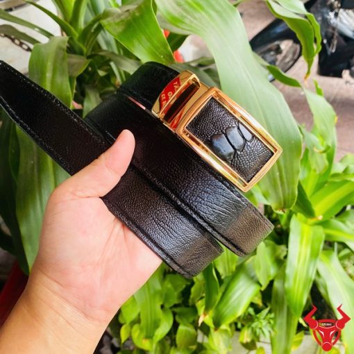 Dây lưng nam da đà điểu TLD1 đen khóa vàng cao cấp