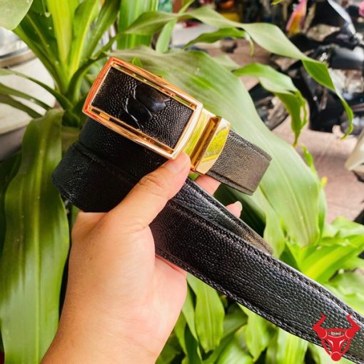 Thắt lưng nam TLD1 da chân đà điểu thật khóa mạ vàng