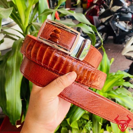 Thắt lưng da đà điểu TLD1 với khóa sáng chống gỉ