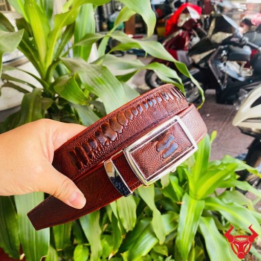 Dây nịt nam da chân đà điểu thật màu nâu đỏ đậm TLD1