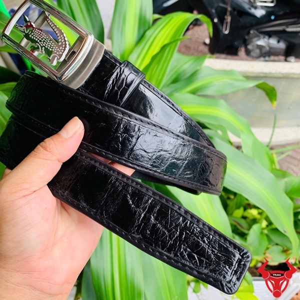 Đẳng cấp cùng Thắt Lưng Da Cá Sấu TSK73 Hình ảnh thắt lưng TSK73 màu đen, da cá sấu cao cấp, mặt khóa ray trượt inox, cầm trên tay trước nền cây xanh.