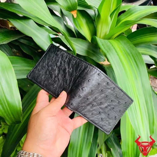 Ví nam da bụng đà điểu nhỏ gọn sang trọng.